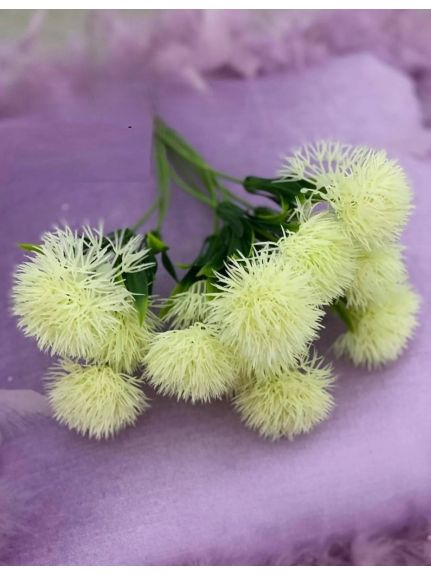 VERDEATA CIULIN FR055 ALB