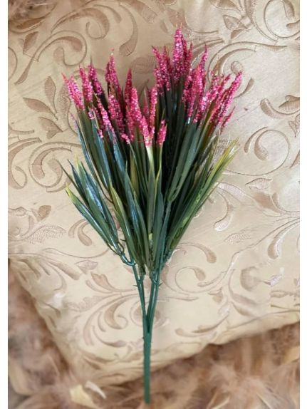 VERDEATA FR060 CICLAM